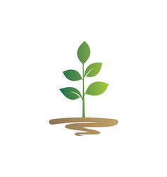 Botany Icon